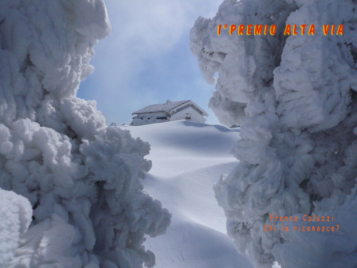 006-PRIMOAVfrancacaluzzi4